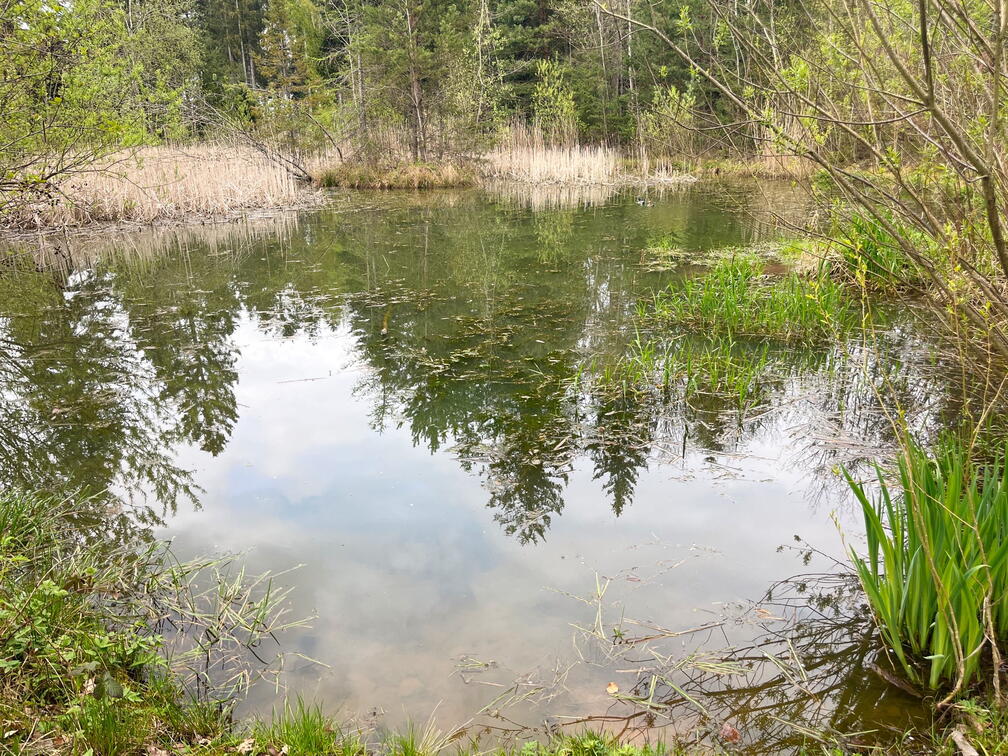 23-04-30 15-49-39 5256